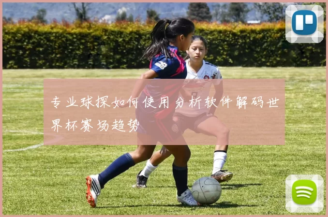 专业球探如何使用分析软件解码世界杯赛场趋势