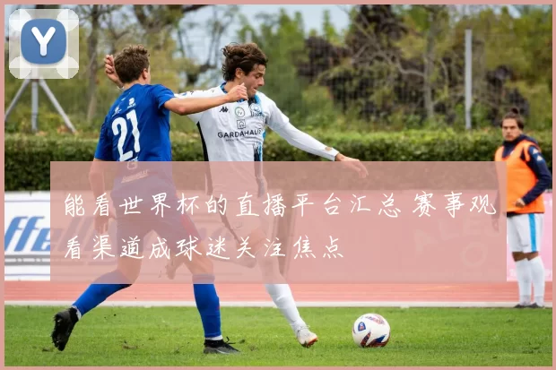 能看世界杯的直播平台汇总 赛事观看渠道成球迷关注焦点