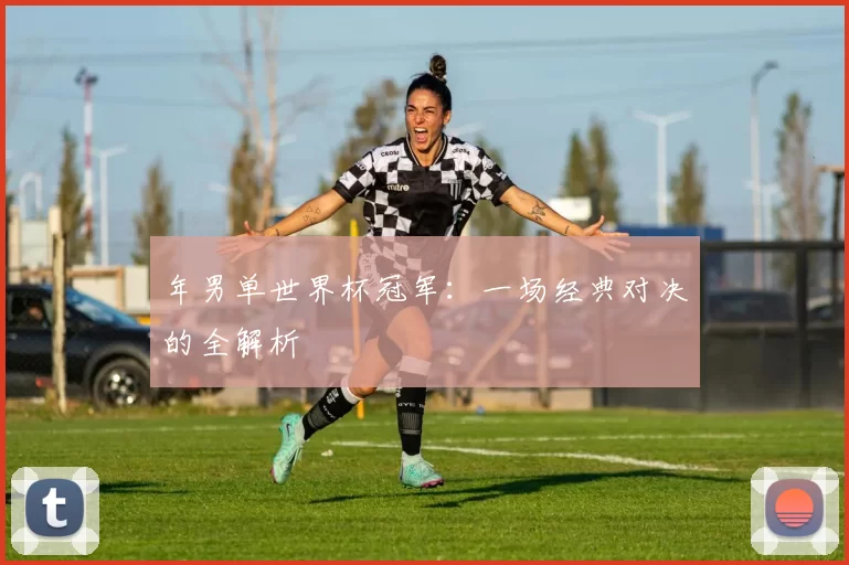 年男单世界杯冠军:一场经典对决的全解析