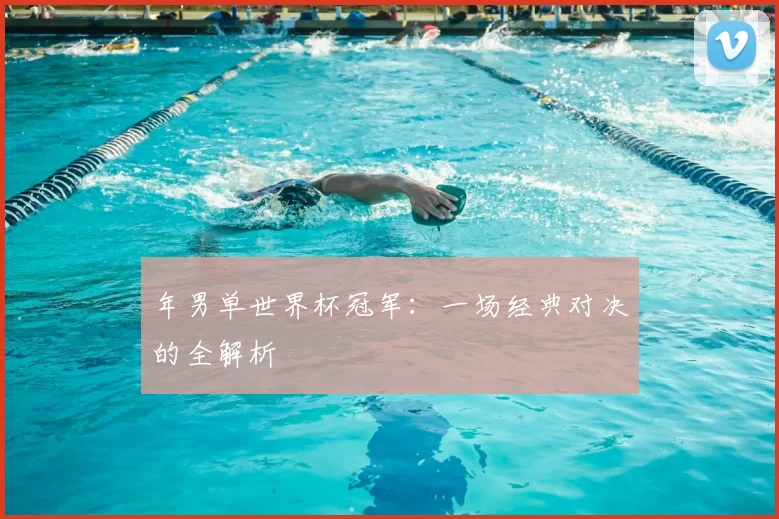 年男单世界杯冠军:一场经典对决的全解析
