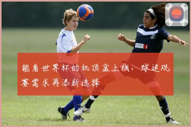 能看世界杯的机顶盒上线,球迷观赛需求再添新选择